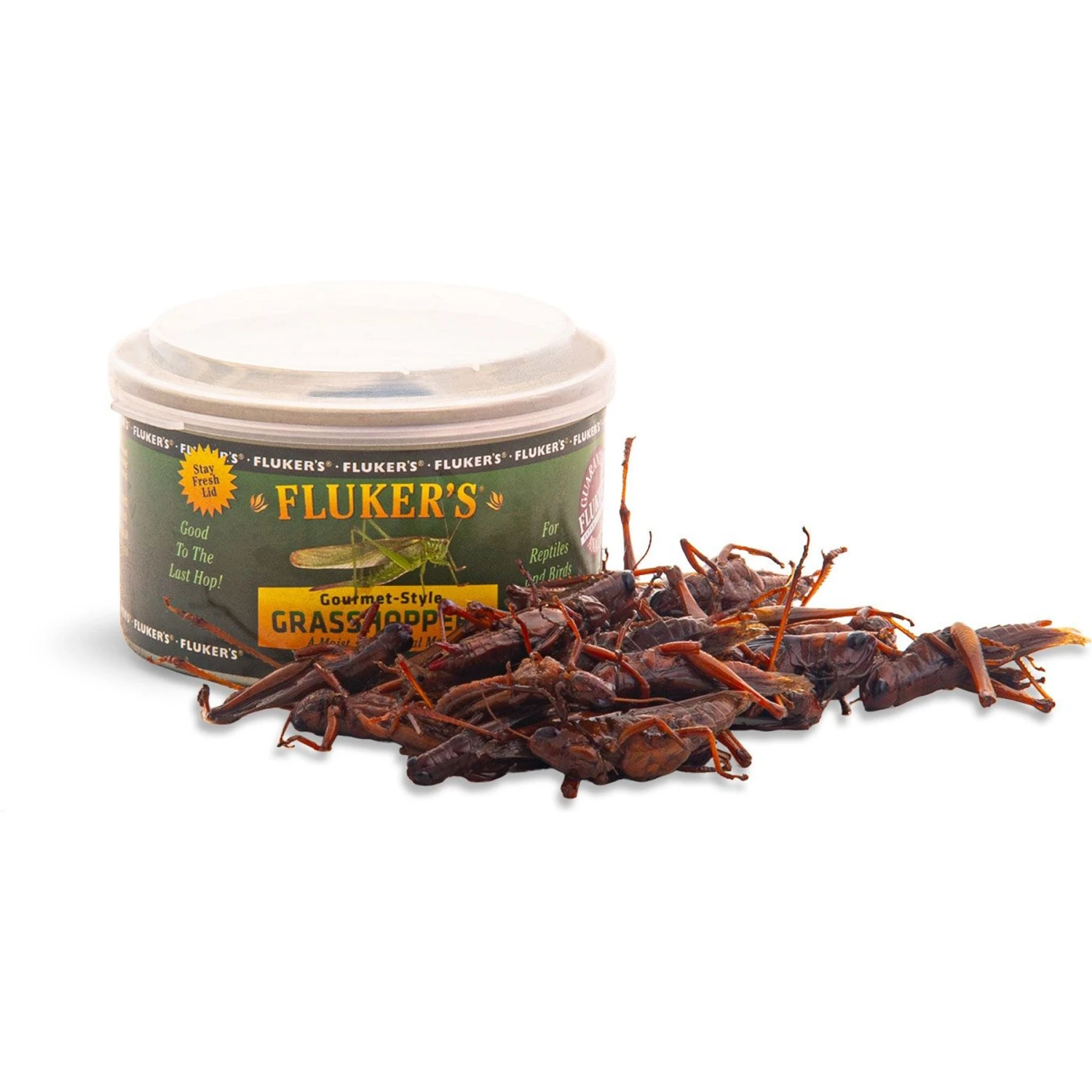 Fluker's Gourmet-Style Grasshoppers Reptile Food 3 Fluker's Gourmet-Style Grasshoppers Reptile Food