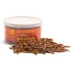 Fluker's Gourmet-Style Mealworms Reptile Food 2 Fluker's Gourmet-Style Mealworms Reptile Food -Plax Penn Shop 98578 MAIN. AC SS1800 V1692710753